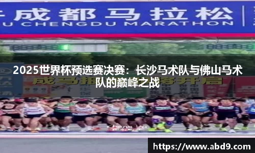 2025世界杯预选赛决赛：长沙马术队与佛山马术队的巅峰之战